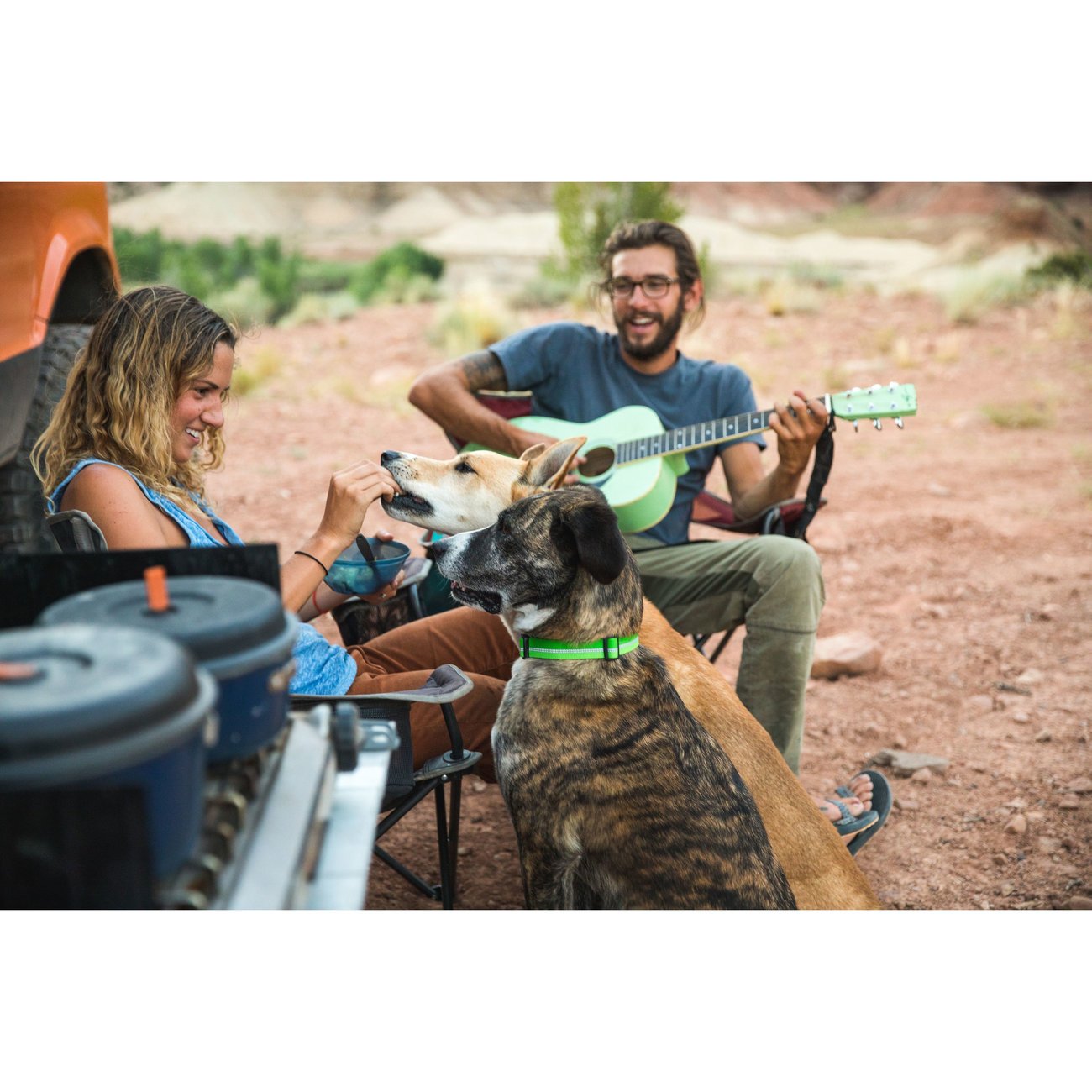 Ruffwear Crag™ Collar Hundehalsband Bild 4