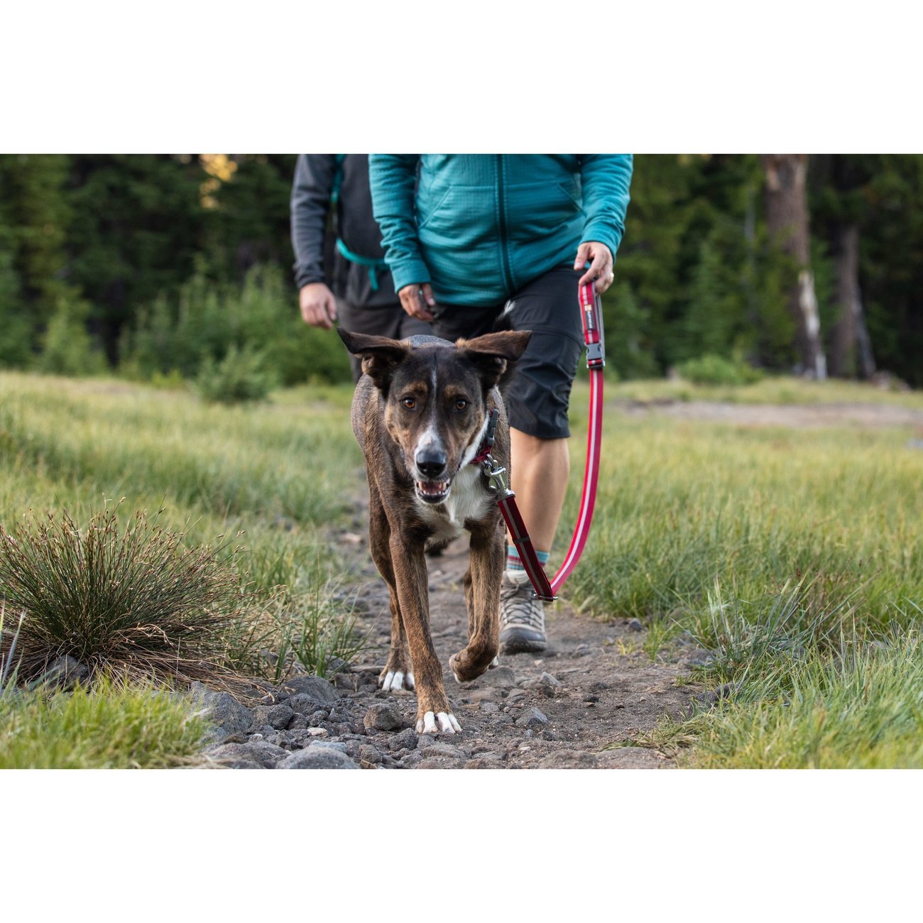 Ruffwear Crag™ Leash Hundeleine Bild 9