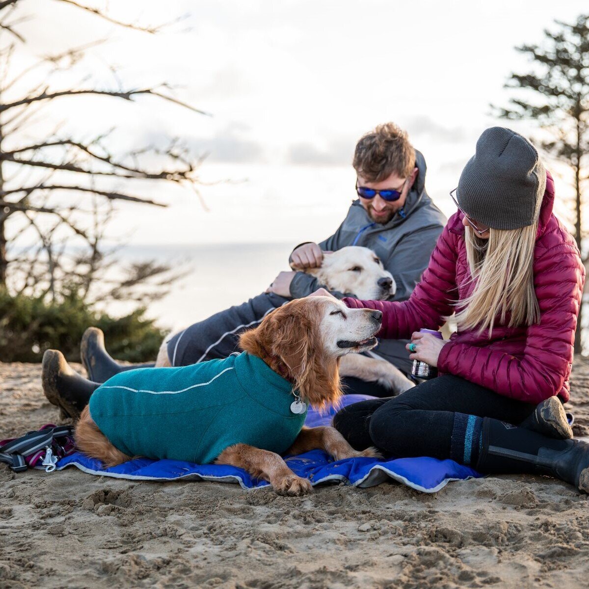 Ruffwear Fernie Jacke für Hunde Bild 3