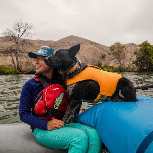 Flat Out Hundehalsband Bild 10