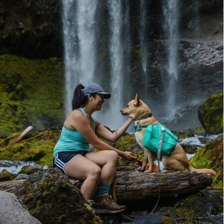 Flat Out Hundehalsband Bild 15