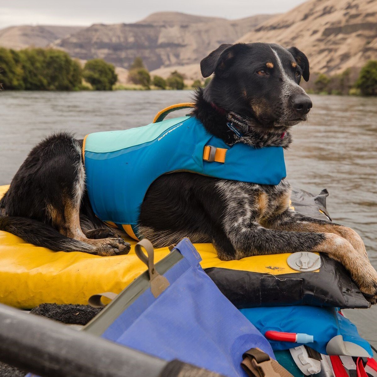 Float Coat Schwimmweste Bild 4