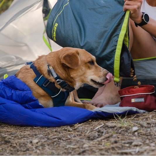 Front Range Collar Hundehalsband 2.0 Bild 12