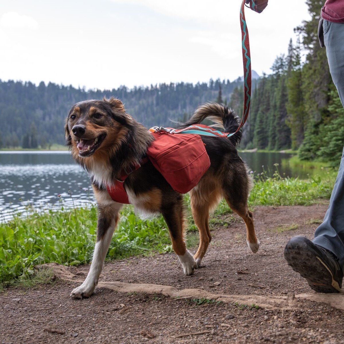 Front Range Day Pack Rucksack Bild 4
