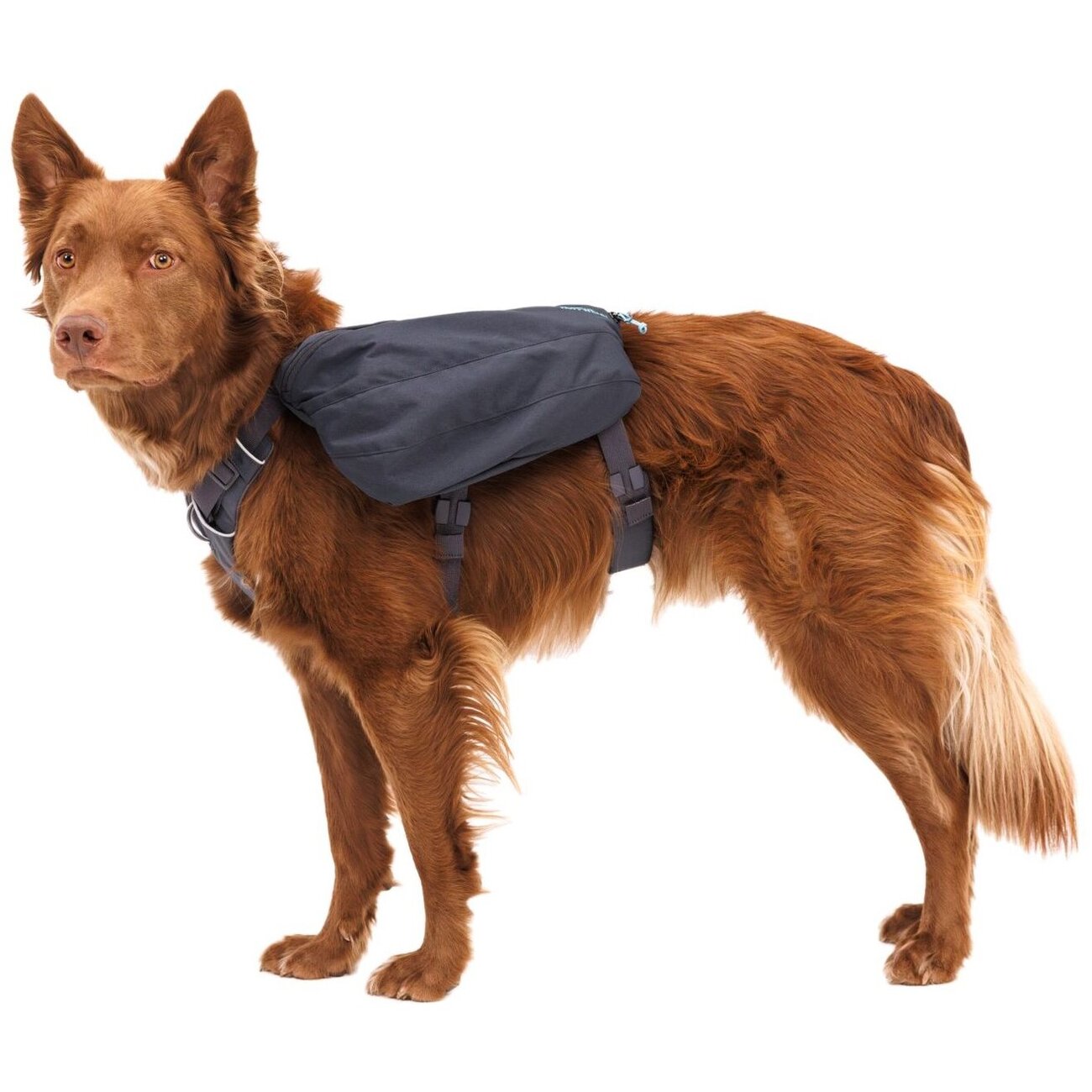 Front Range Day Pack Rucksack Bild 27