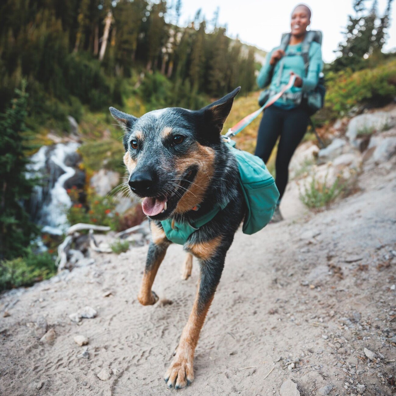 Front Range Day Pack Rucksack Bild 34