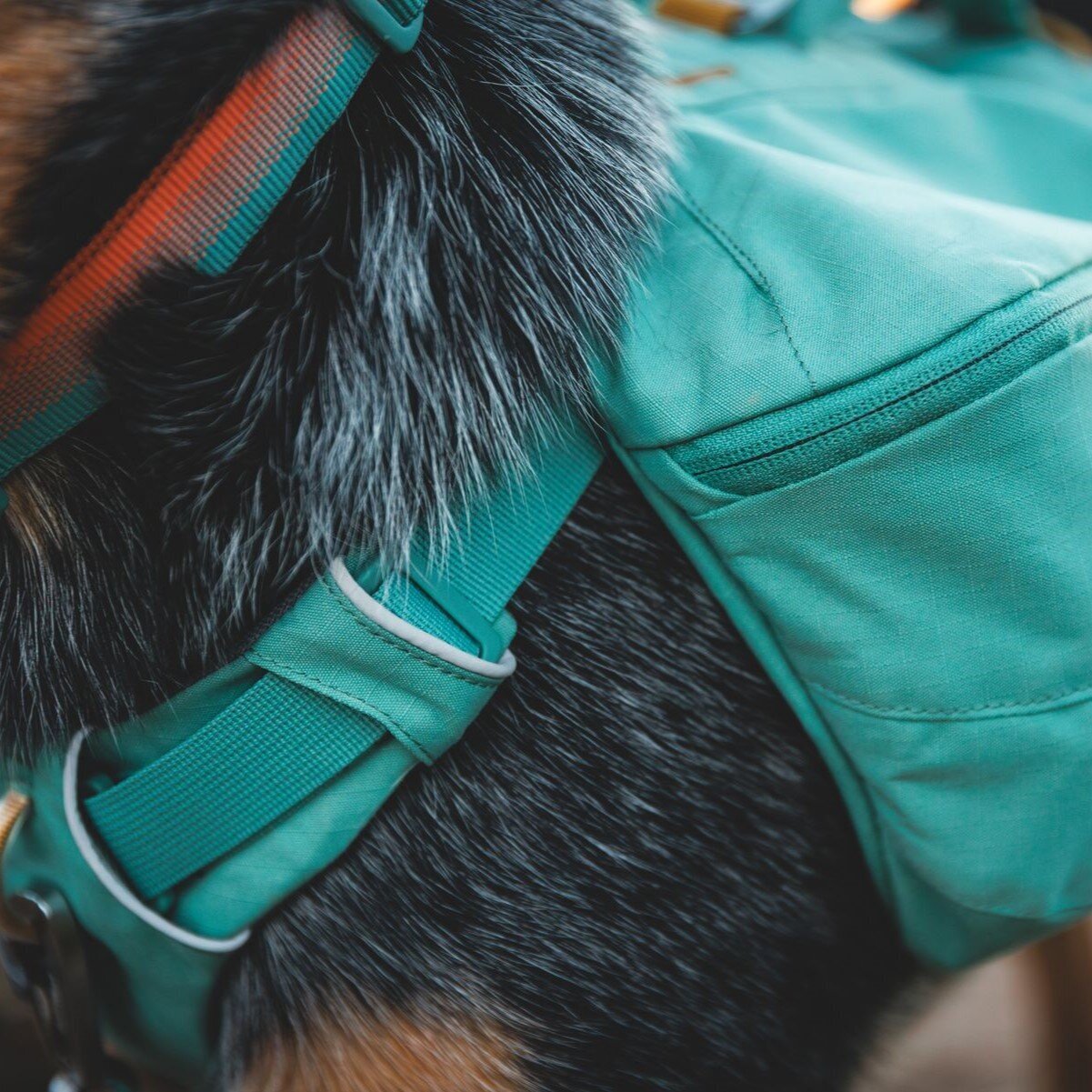 Front Range Day Pack Rucksack Bild 40