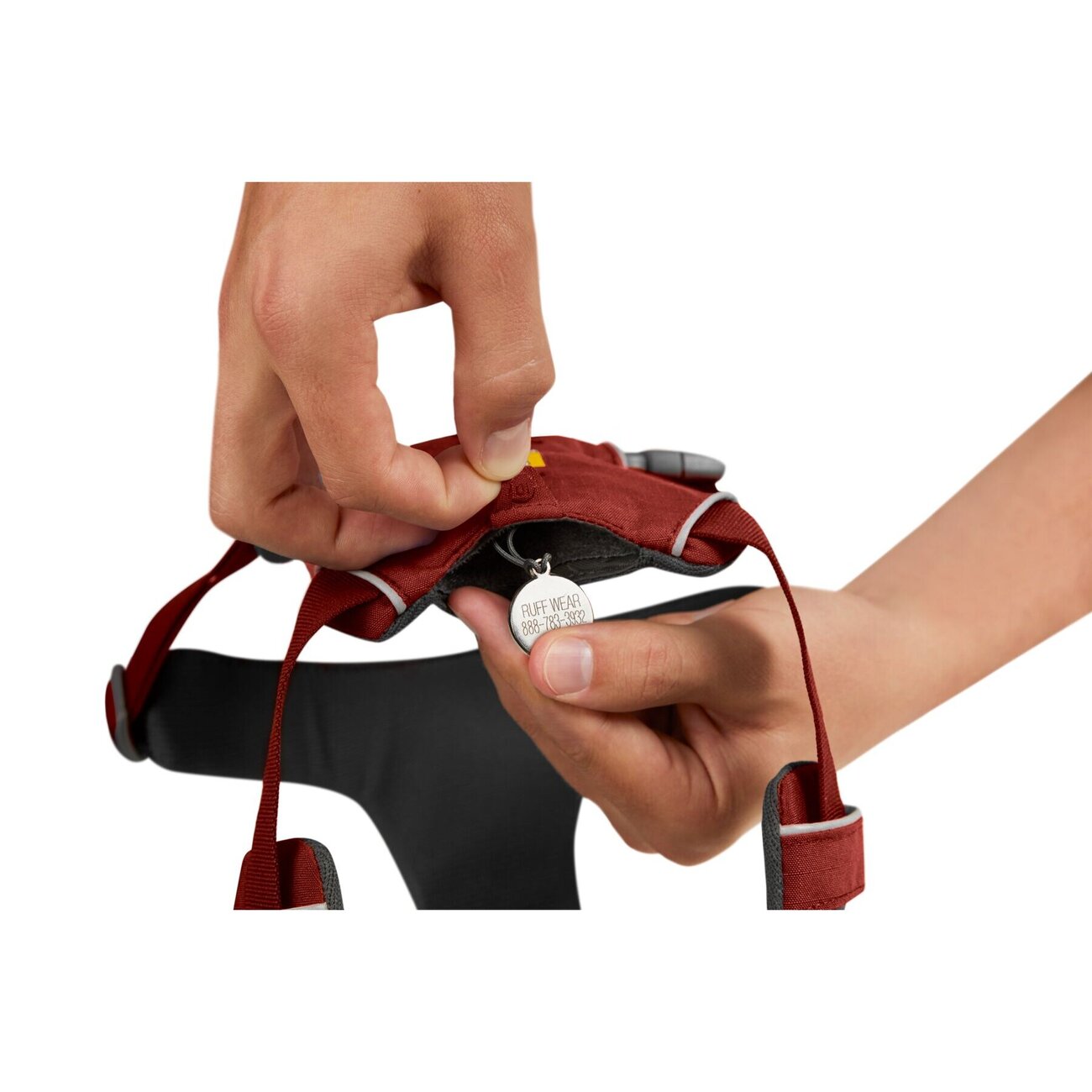 Front Range Harness Hundegeschirr 2.0 Bild 65