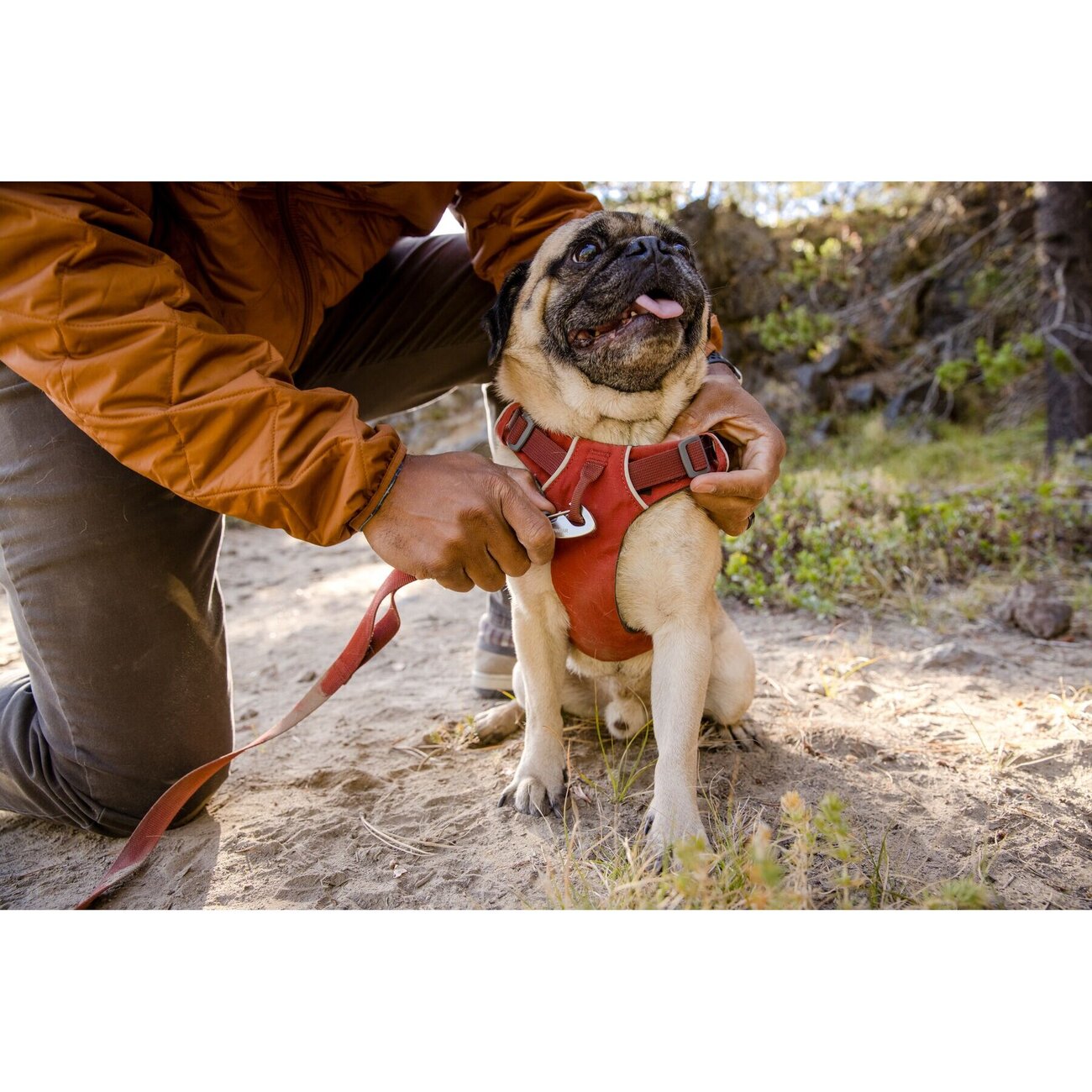 Front Range Harness Hundegeschirr 2.0 Bild 67