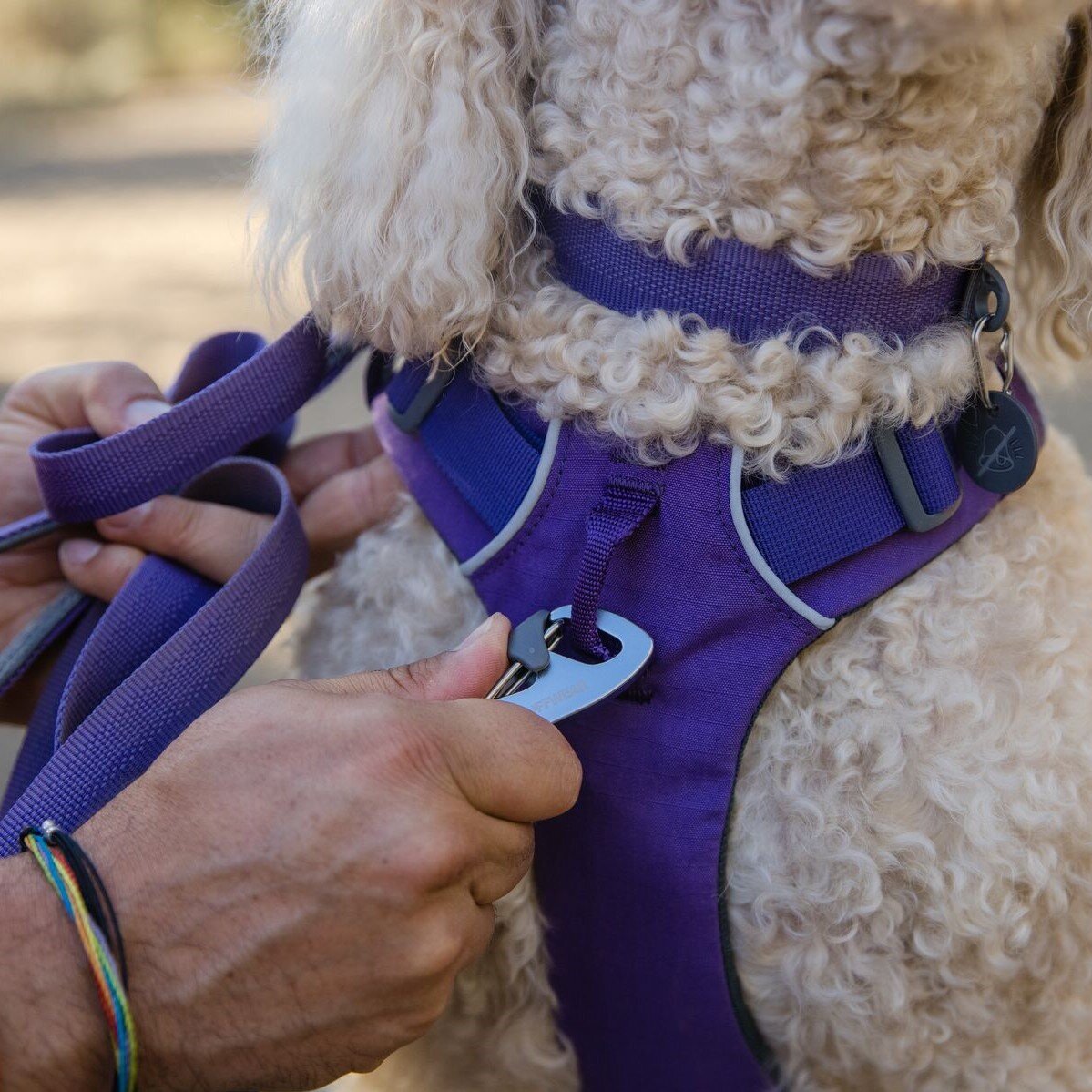 Front Range Harness Hundegeschirr 2.0 Bild 69