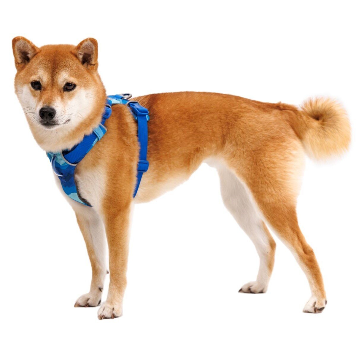 Front Range Harness Hundegeschirr 2.0 Bild 98