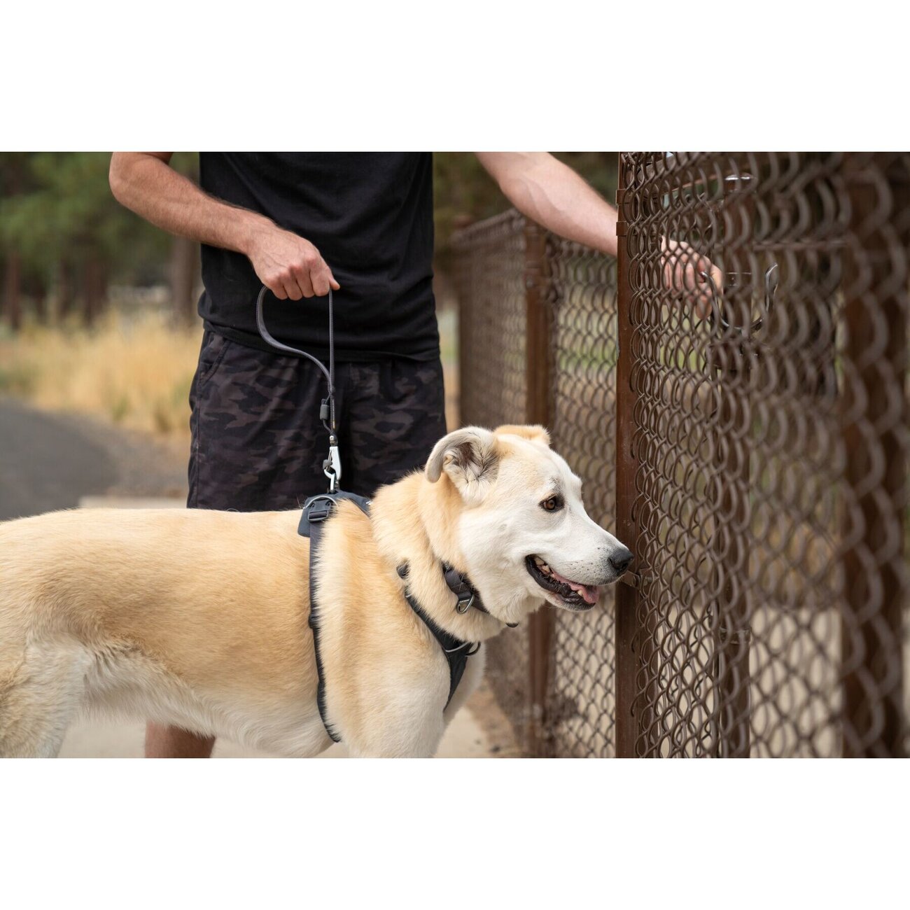 Front Range Kurzleine Bild 5