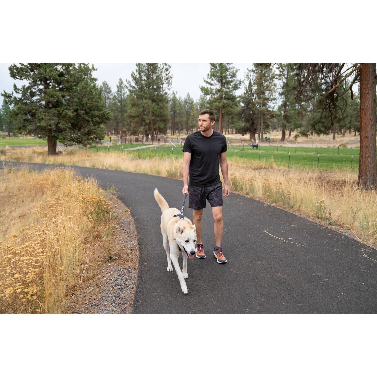 Front Range Kurzleine Bild 2