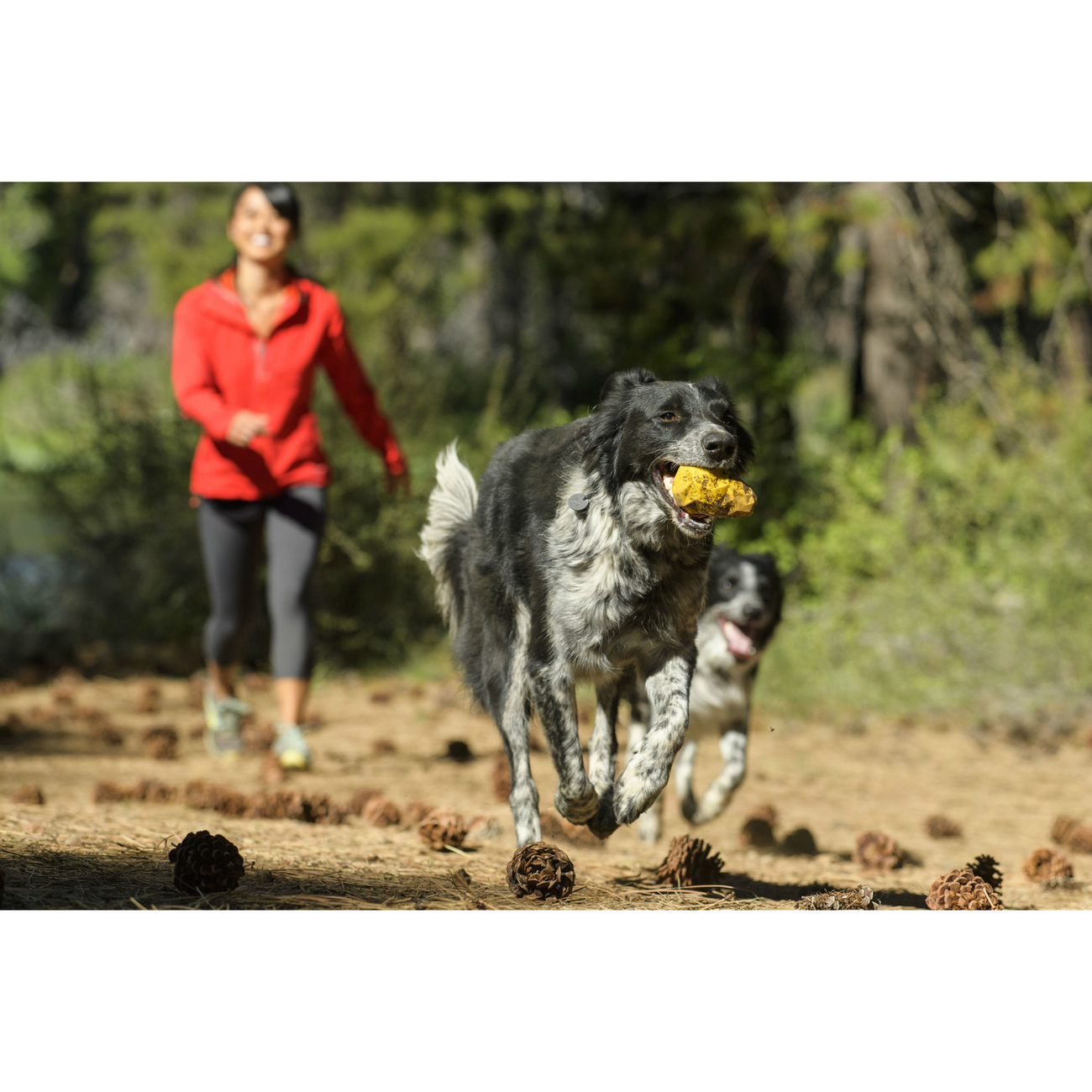 Ruffwear Hundespielzeug Gnawt-a-Cone Bild 17