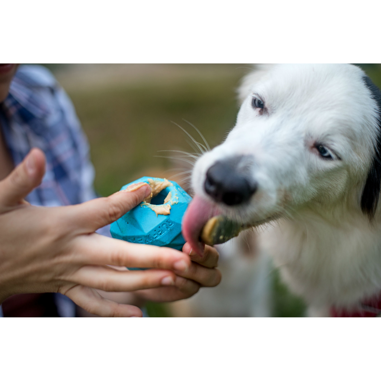 Ruffwear Hundespielzeug Gnawt-a-Cone Bild 16