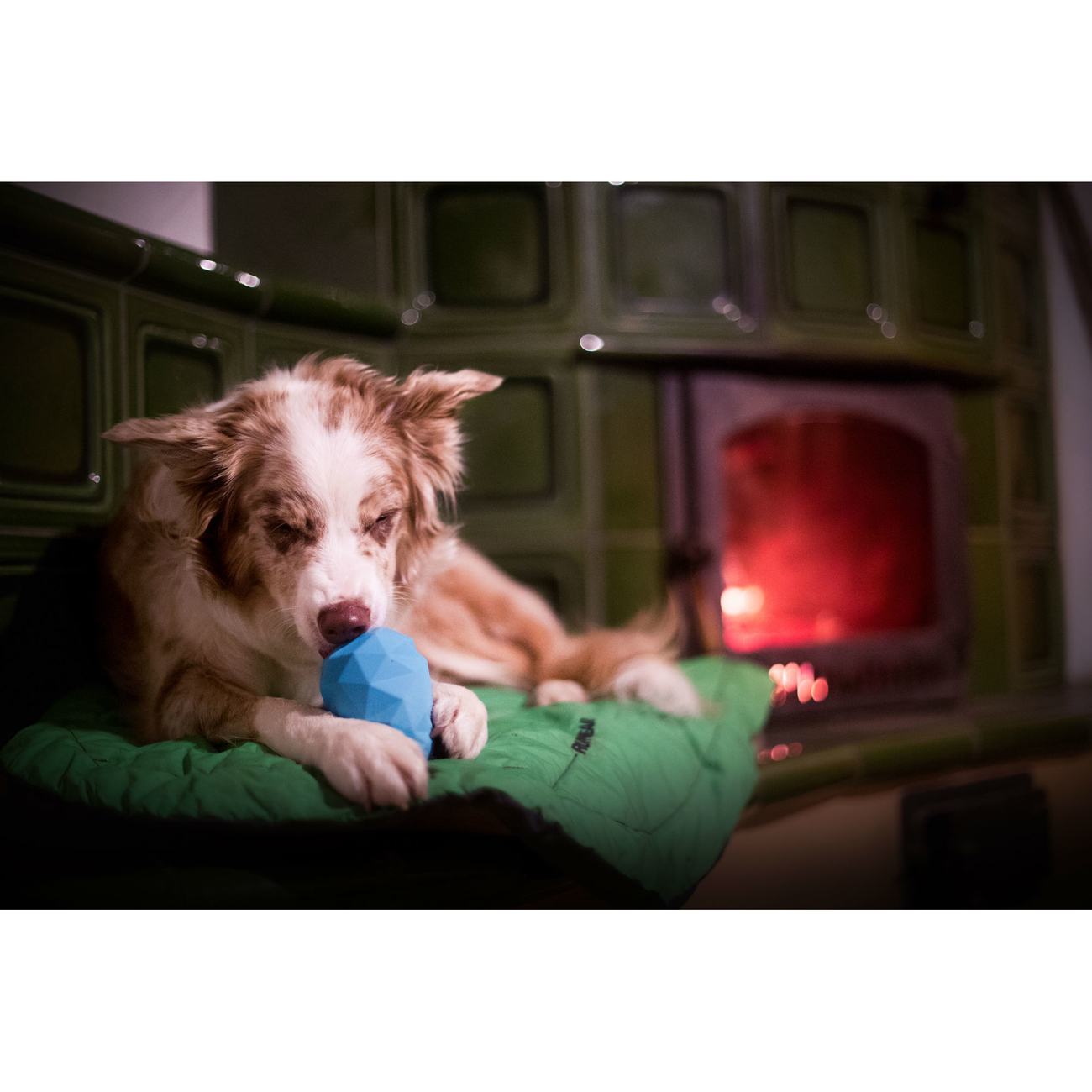 Ruffwear Hundespielzeug Gnawt-a-Cone Bild 21