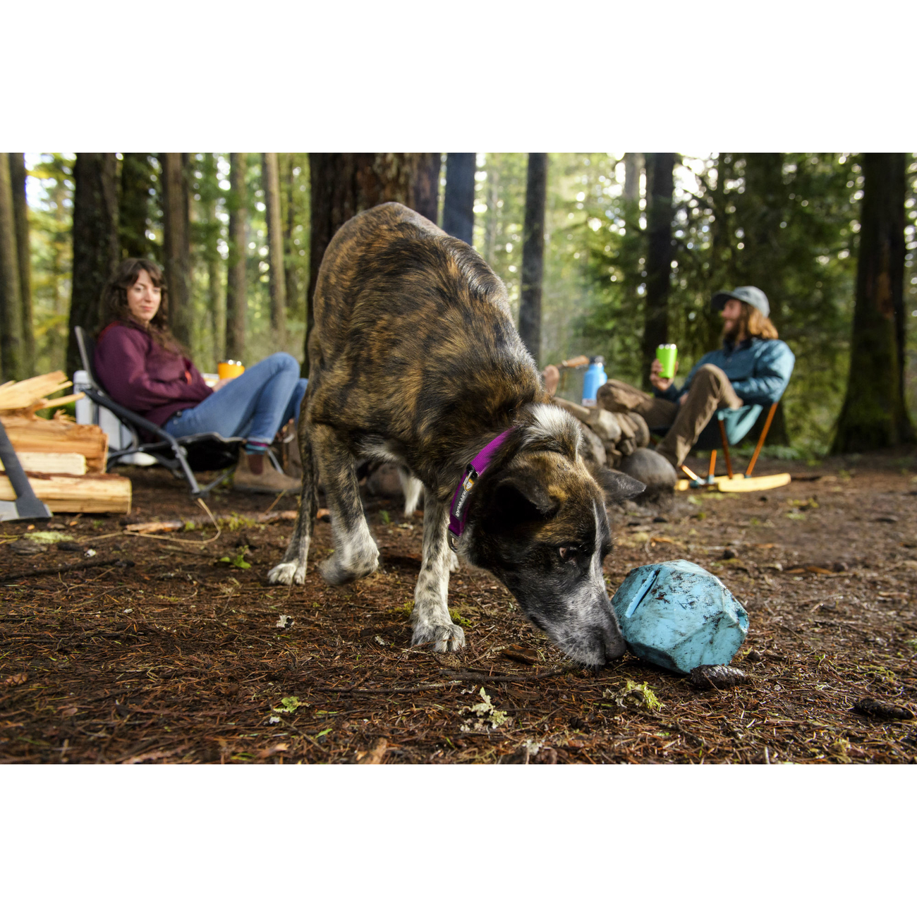 Ruffwear Spielzeug für Hunde Gnawt-a-Rock Bild 19