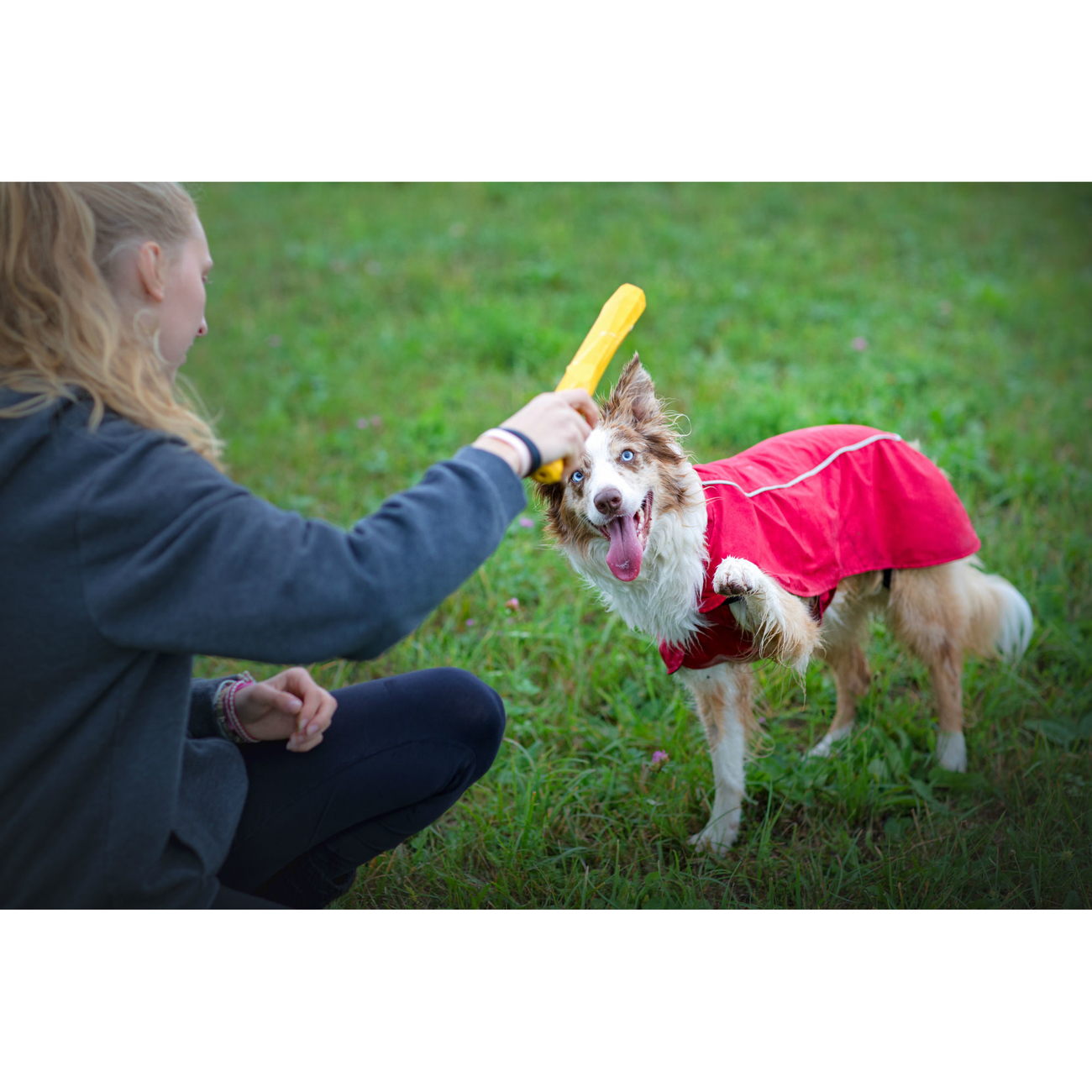 Ruffwear Hundespielzeug Gnawt-a-Stick Bild 14