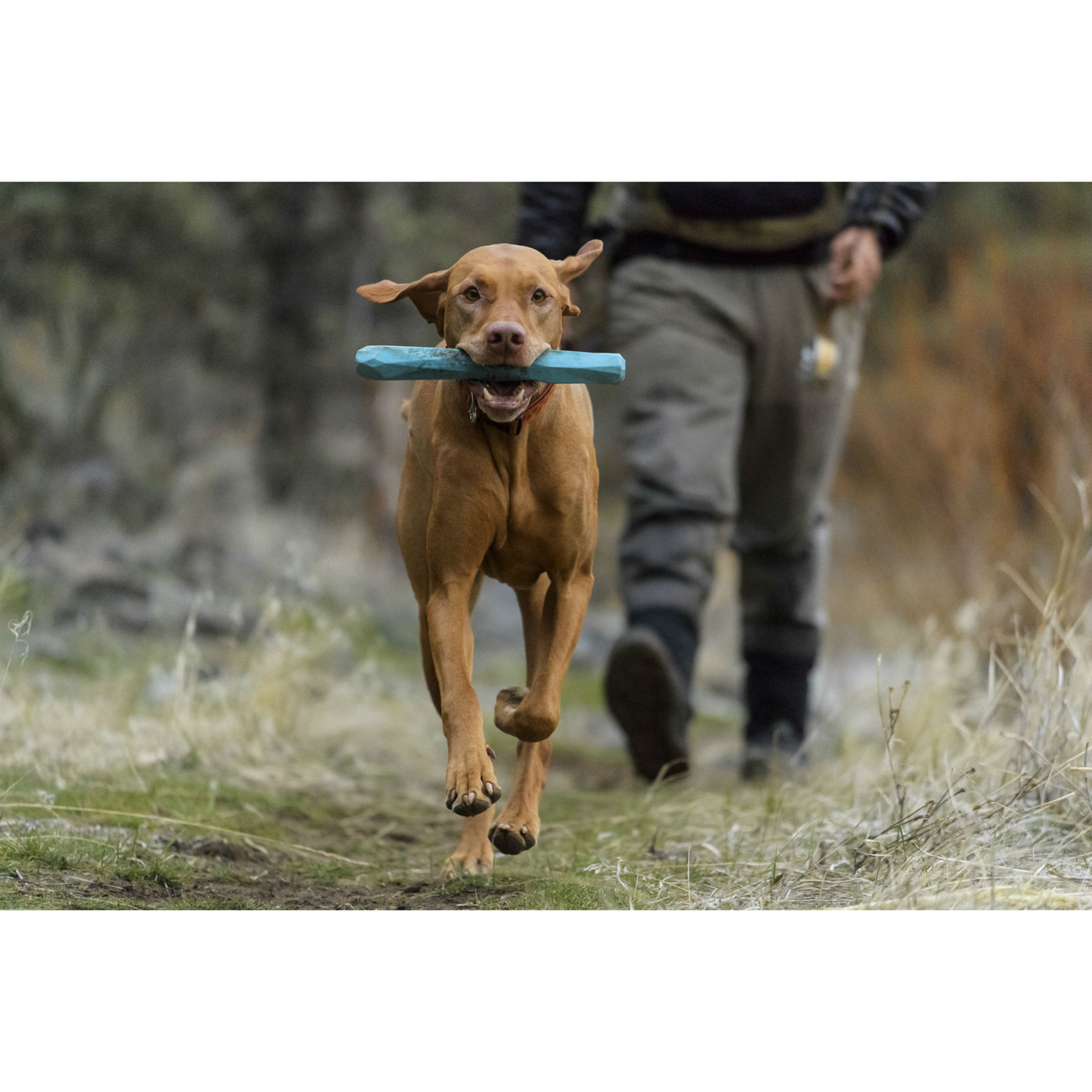 Ruffwear Hundespielzeug Gnawt-a-Stick Bild 7