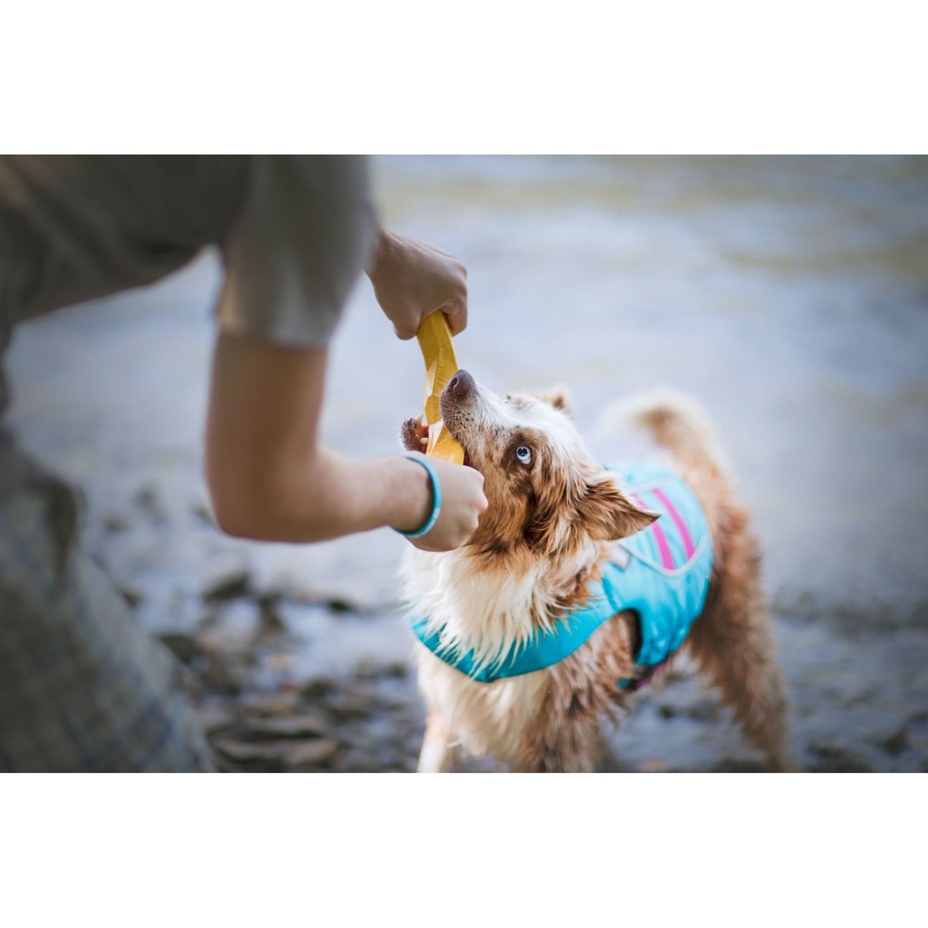 Ruffwear Hundespielzeug Gnawt-a-Stick Bild 11