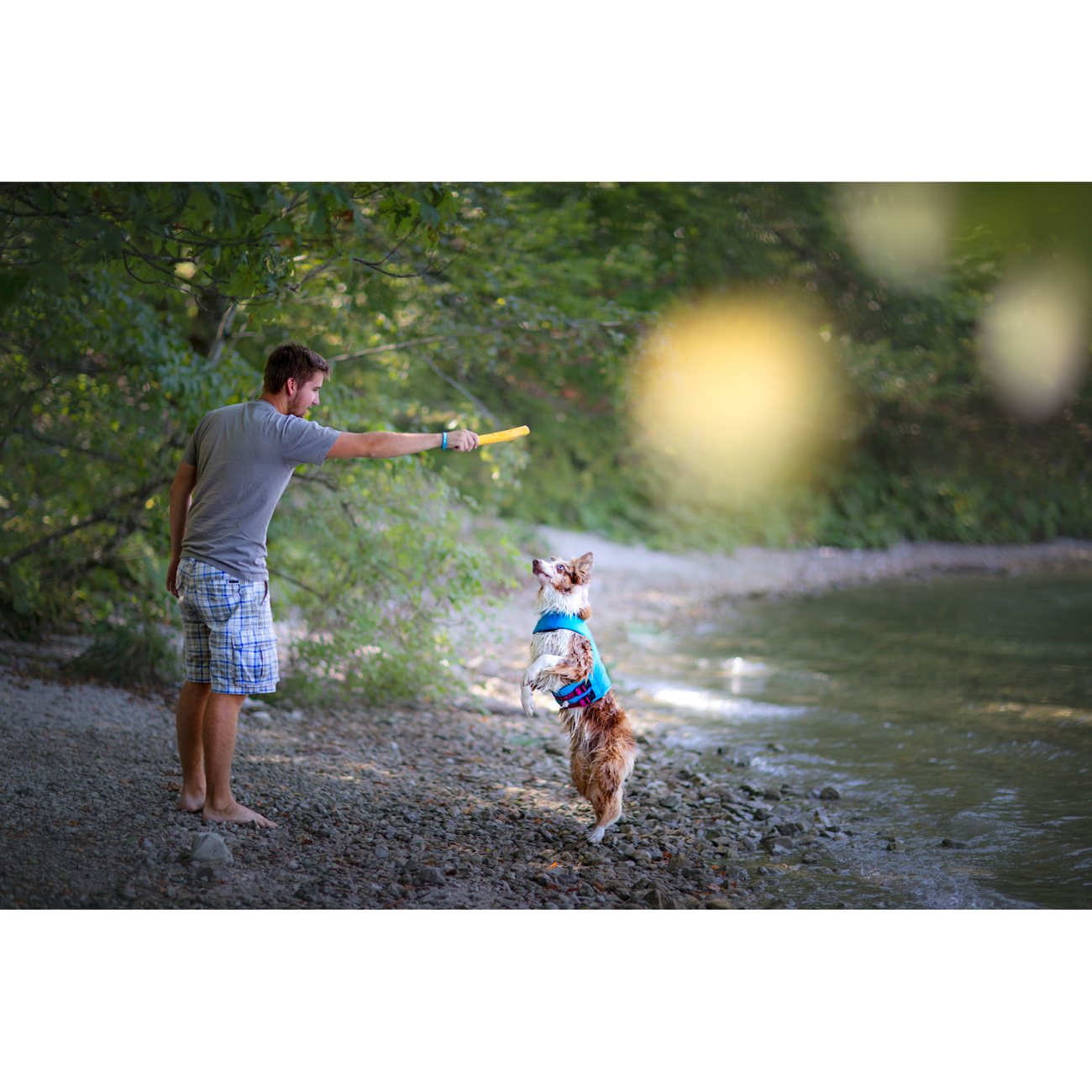 Ruffwear Hundespielzeug Gnawt-a-Stick Bild 15