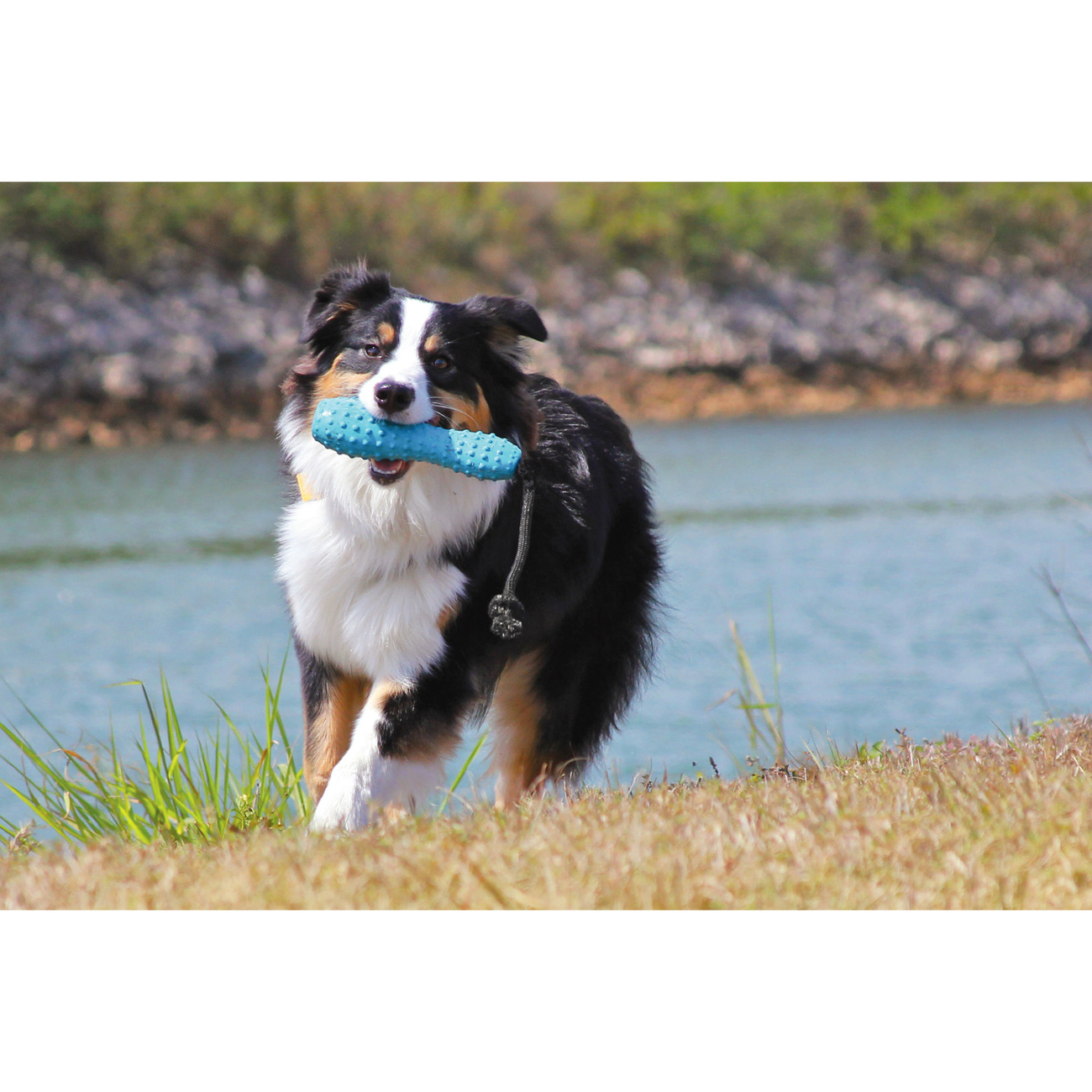 Ruffwear Gourdo Hundespielzeug Bild 9