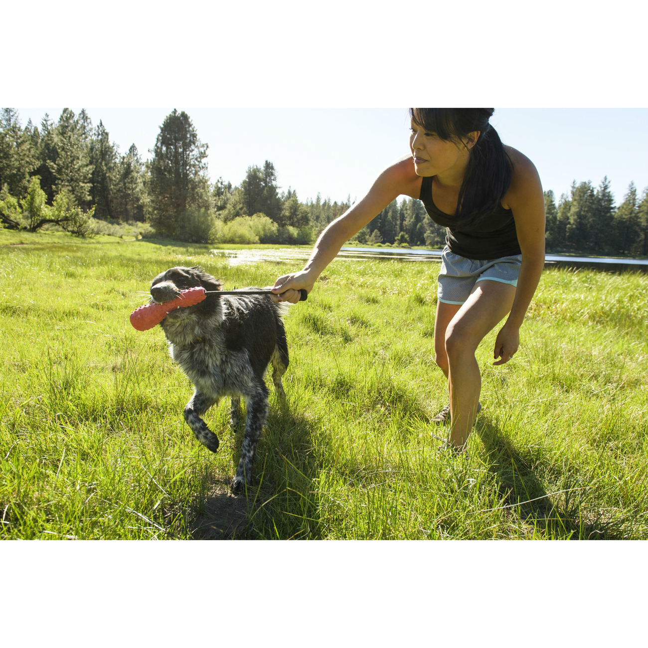 Ruffwear Gourdo Hundespielzeug Bild 12