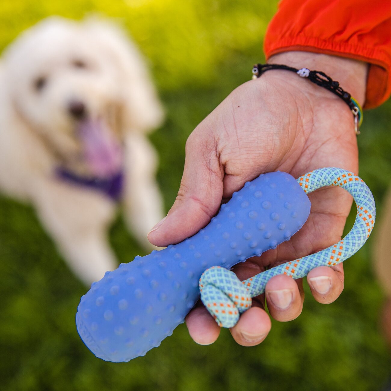 Ruffwear Gourdo Hundespielzeug Bild 4