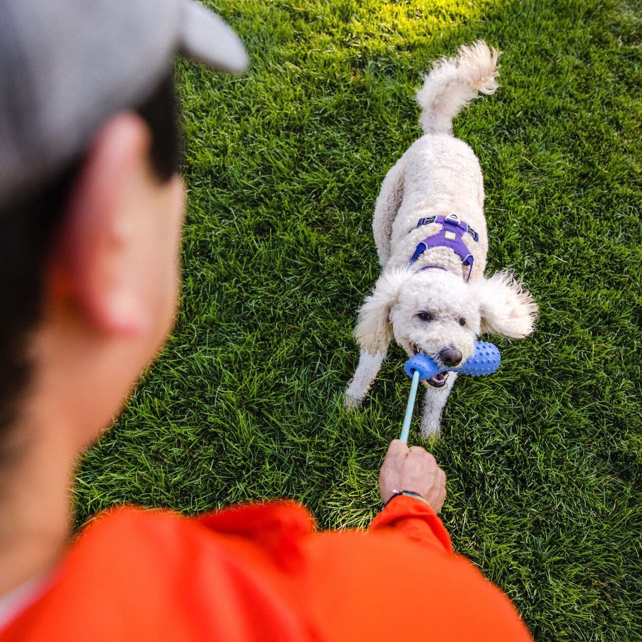 Ruffwear Gourdo Hundespielzeug Bild 2