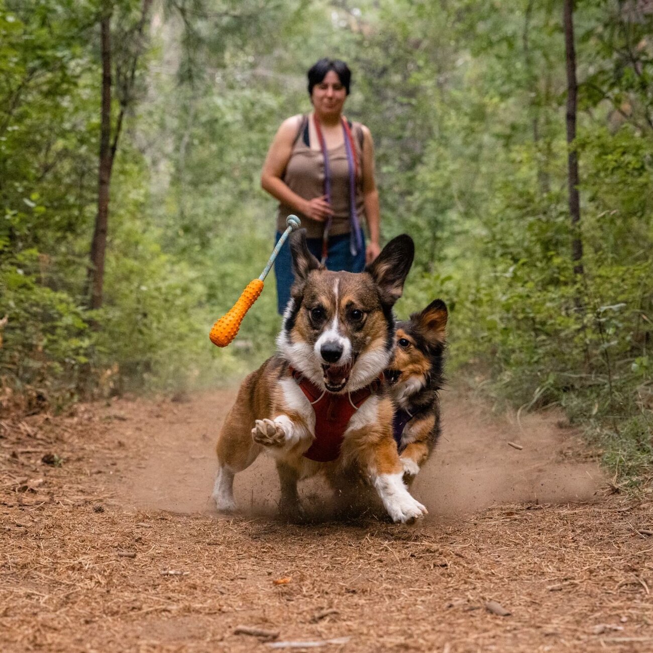 Ruffwear Gourdo Hundespielzeug Bild 17