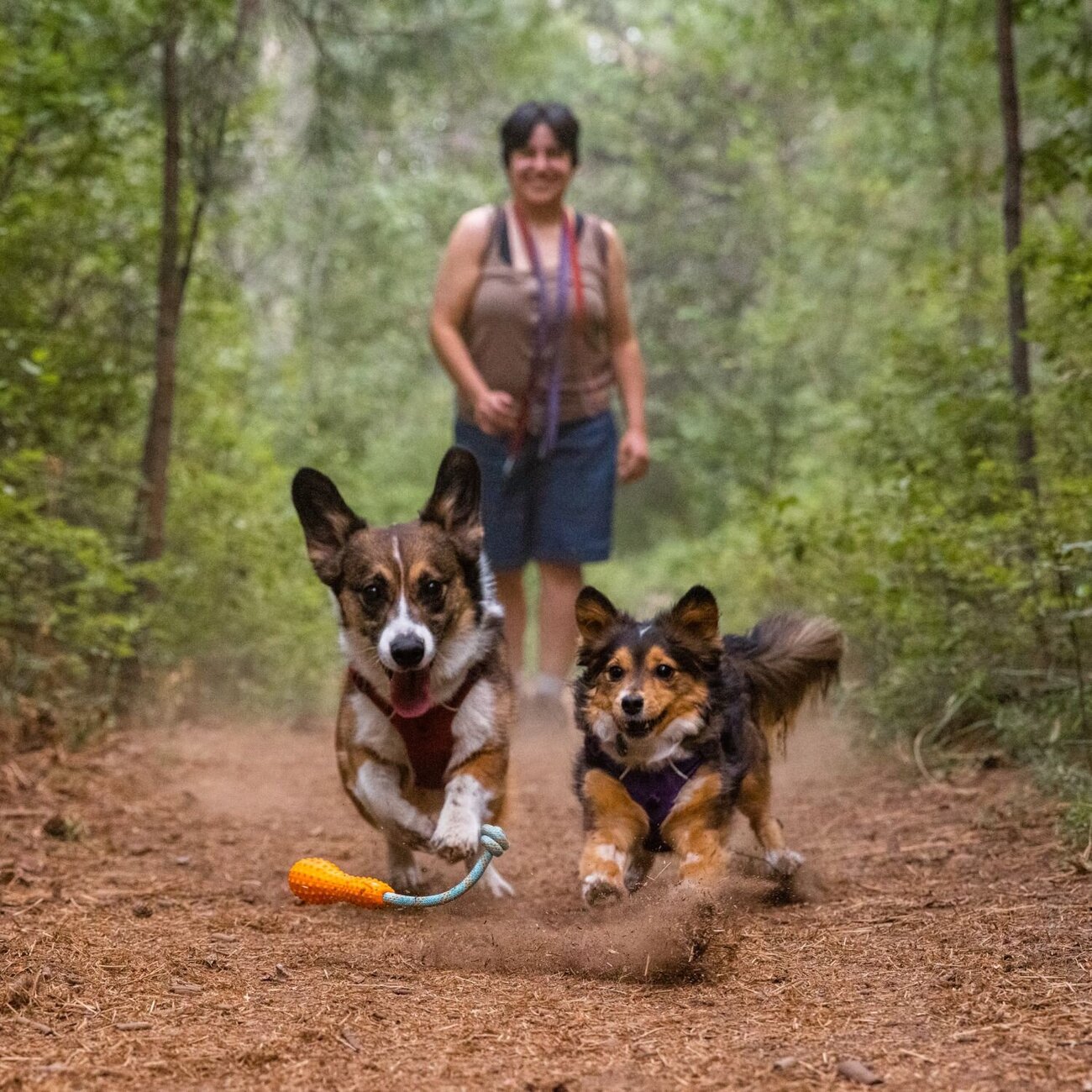 Ruffwear Gourdo Hundespielzeug Bild 18
