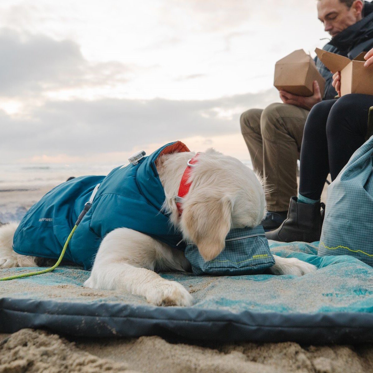 Great Basin Reisenapf Bild 6