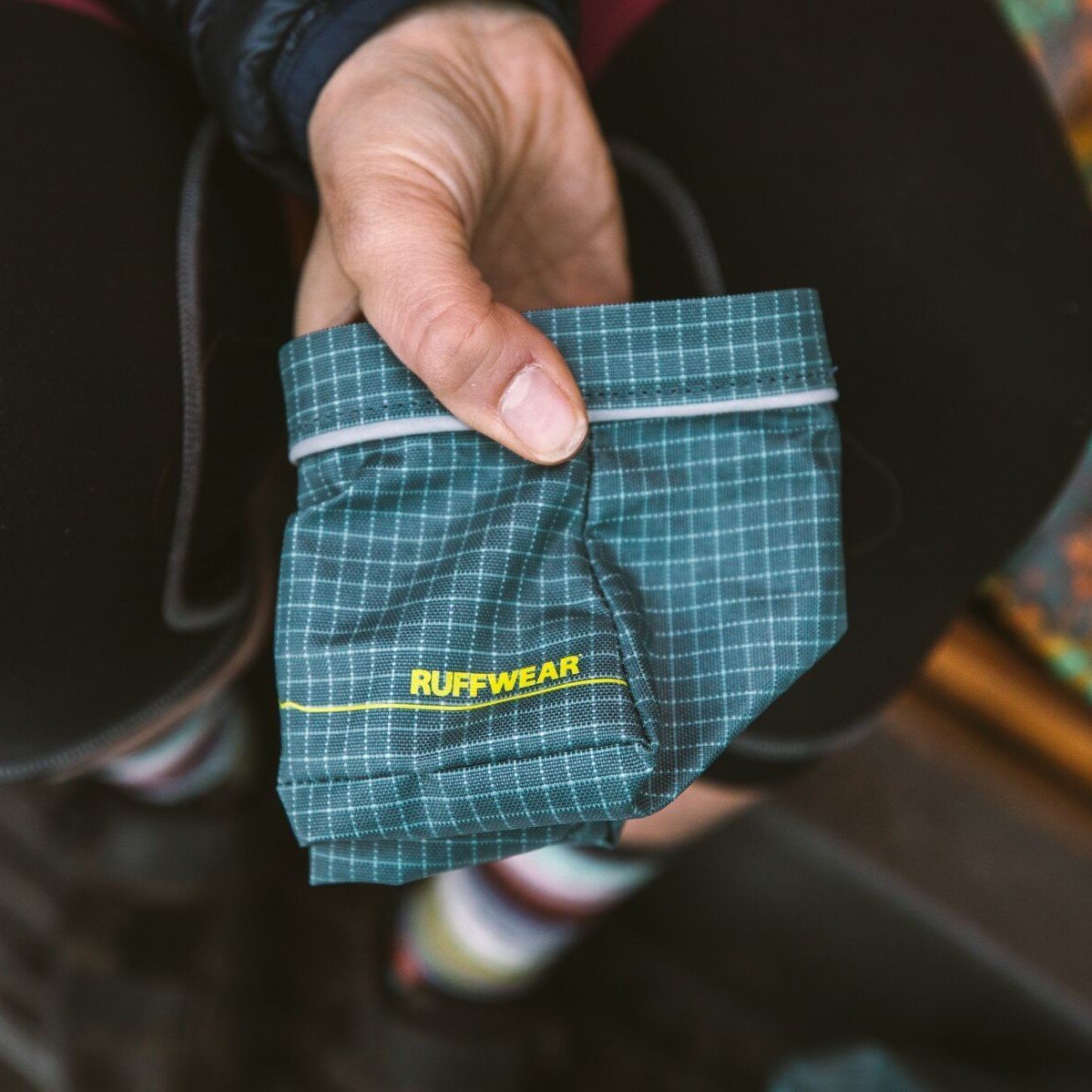 Great Basin Reisenapf Bild 5