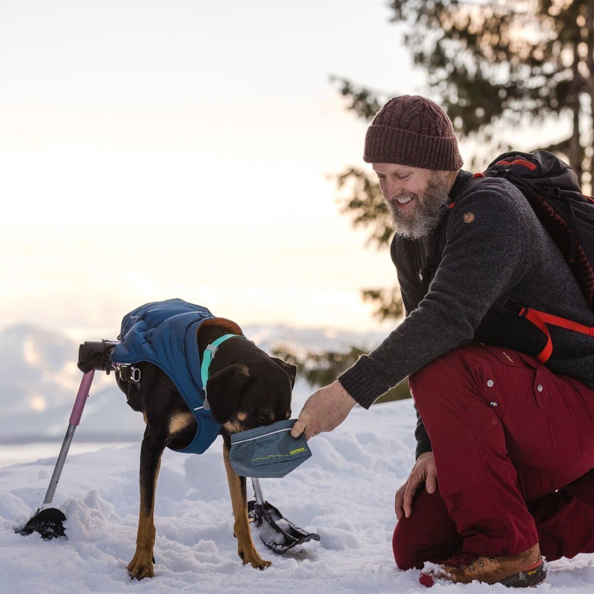 Great Basin Reisenapf Bild 8