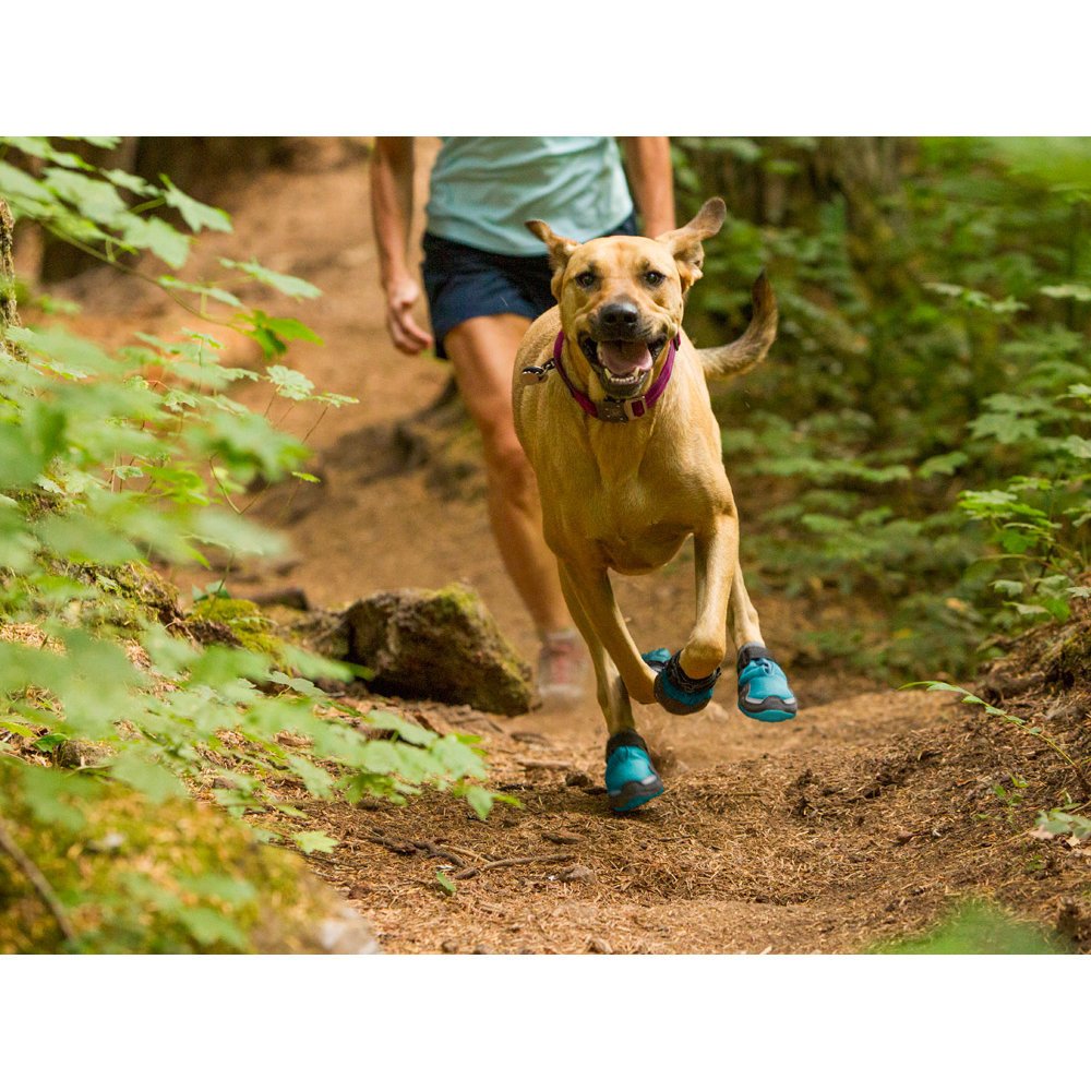 Ruffwear Grip Trex™ Hundeschuhe im 4er Pack Bild 4