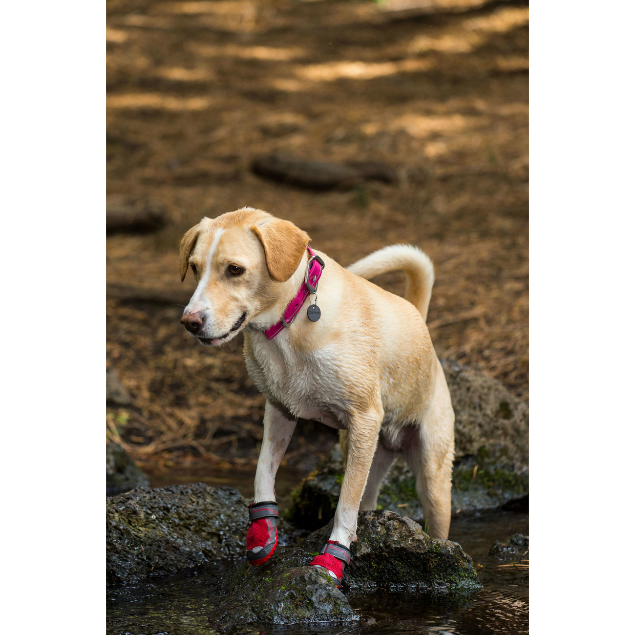 Ruffwear Grip Trex Hundeschuhe Bild 13