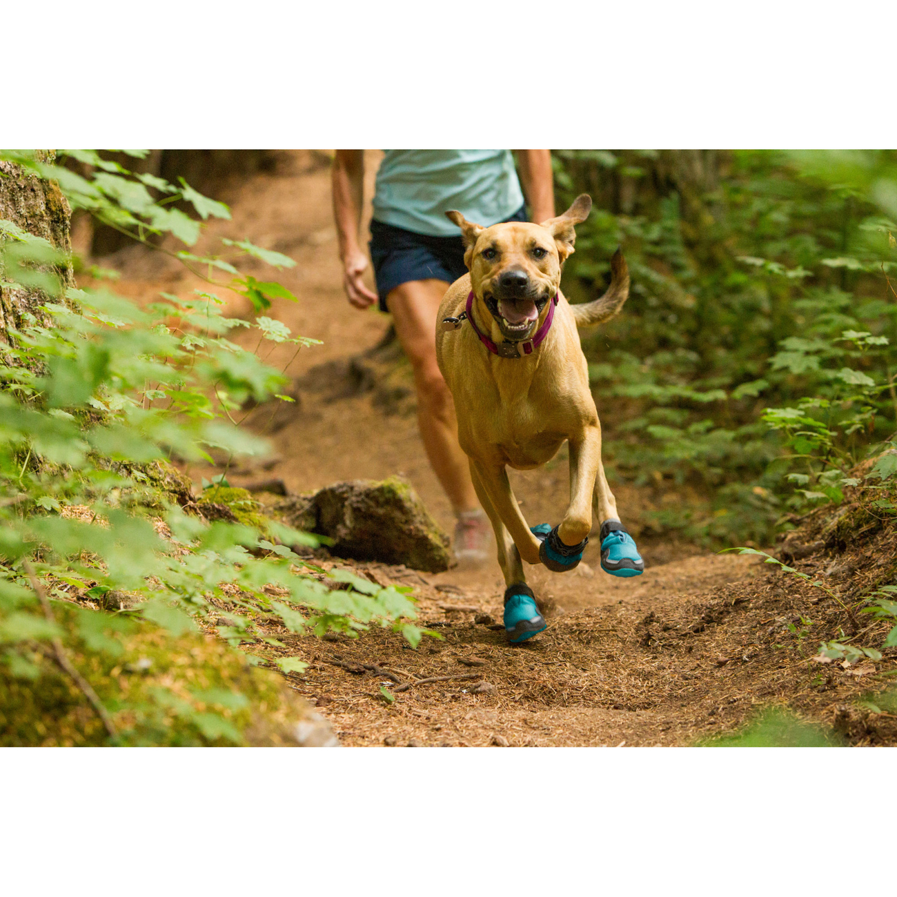 Ruffwear Grip Trex Hundeschuhe Bild 14