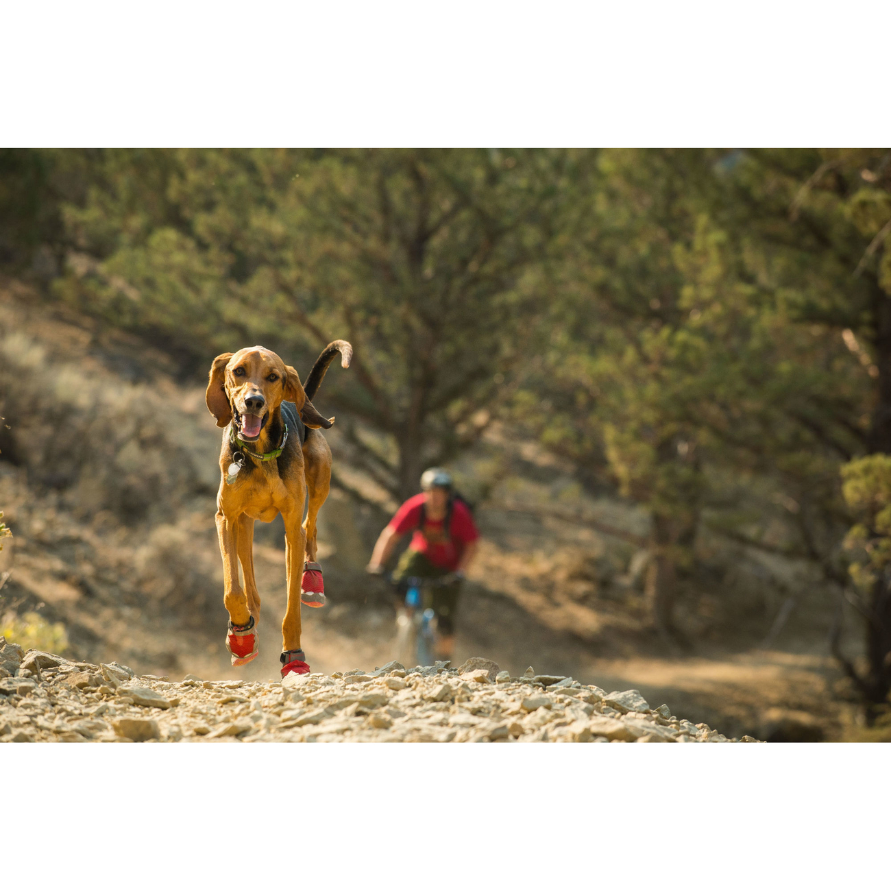 Ruffwear Grip Trex Hundeschuhe Bild 15