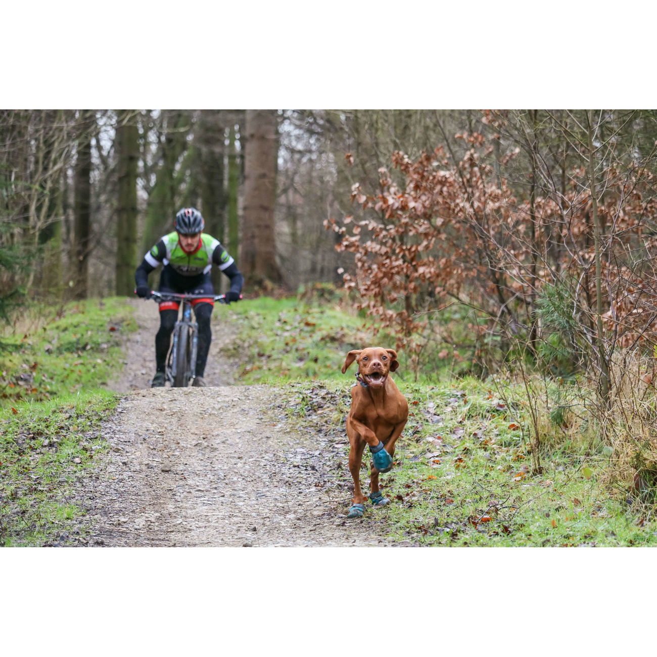 Ruffwear Grip Trex Hundeschuhe Bild 16