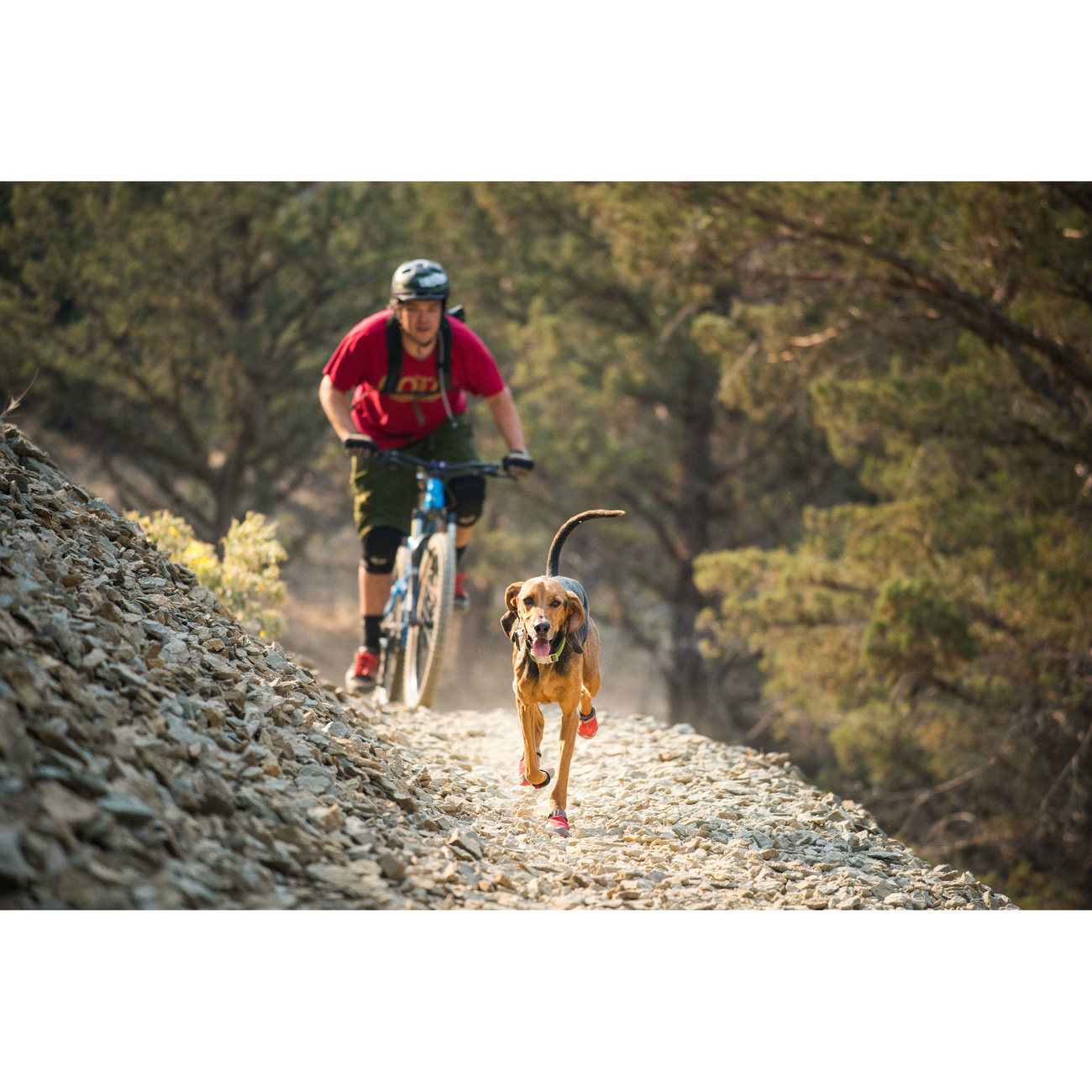 Ruffwear Grip Trex Hundeschuhe Bild 17