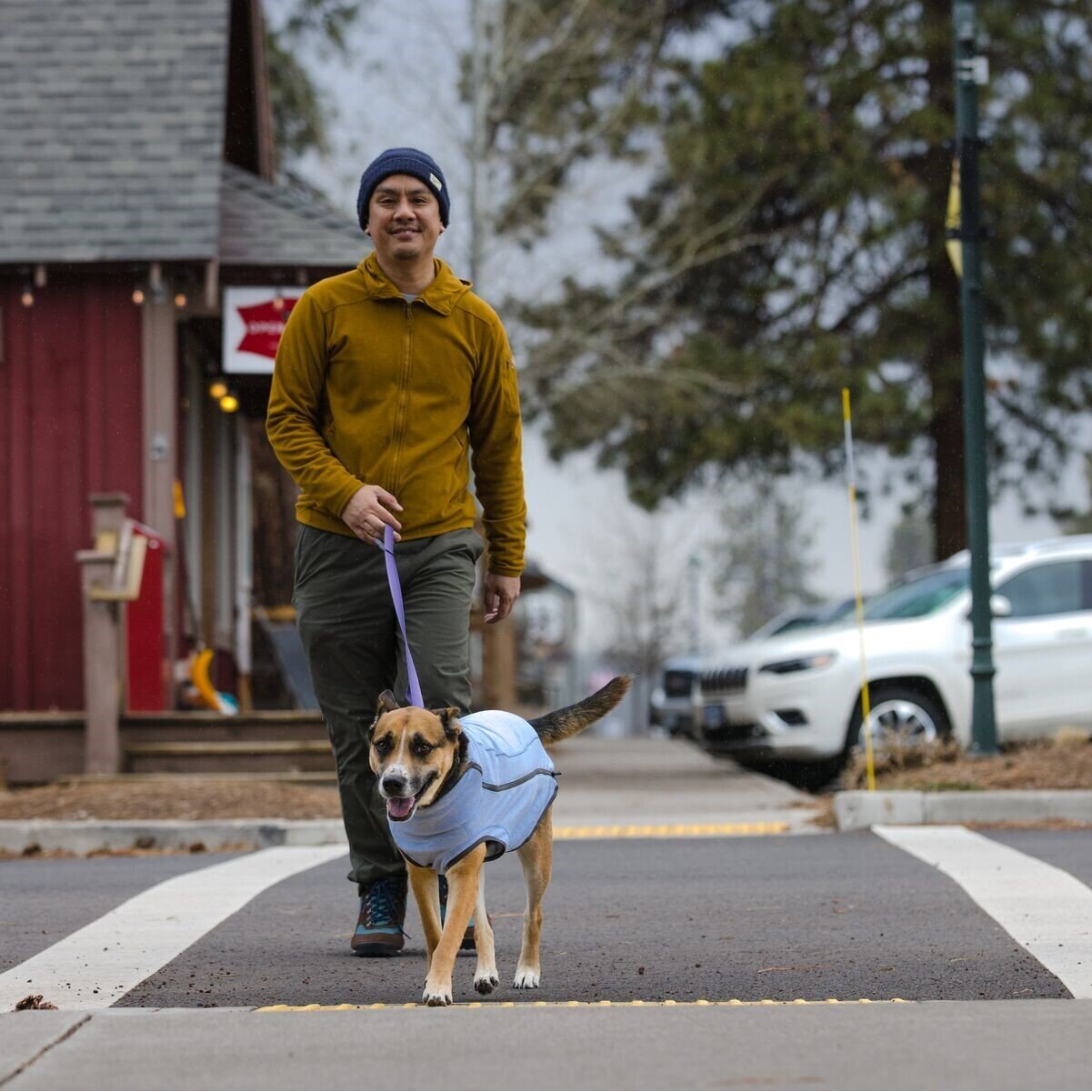 Hemp Hound Hundepullover mit Reißverschluss Bild 10