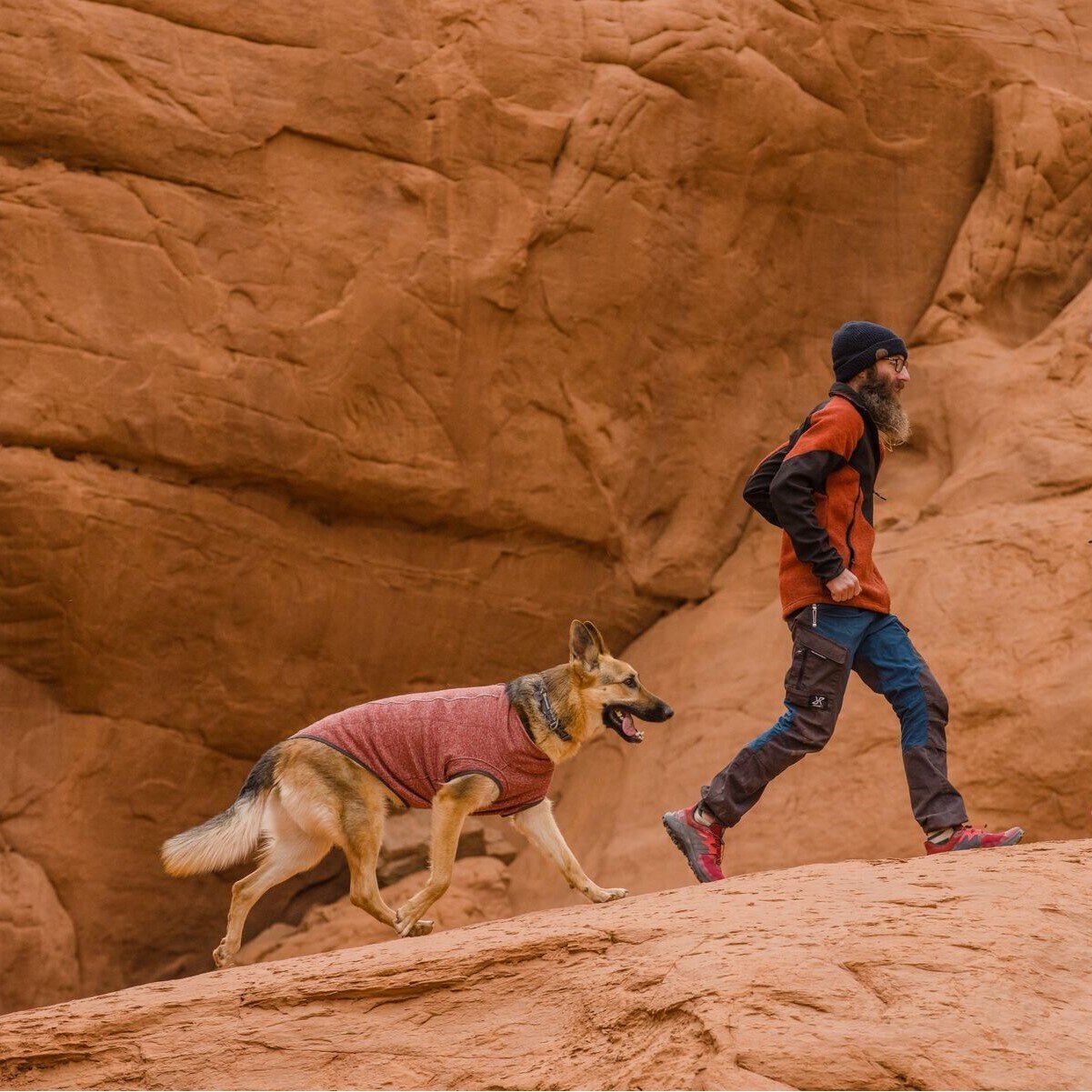 Hemp Hound Hundepullover mit Reißverschluss Bild 2