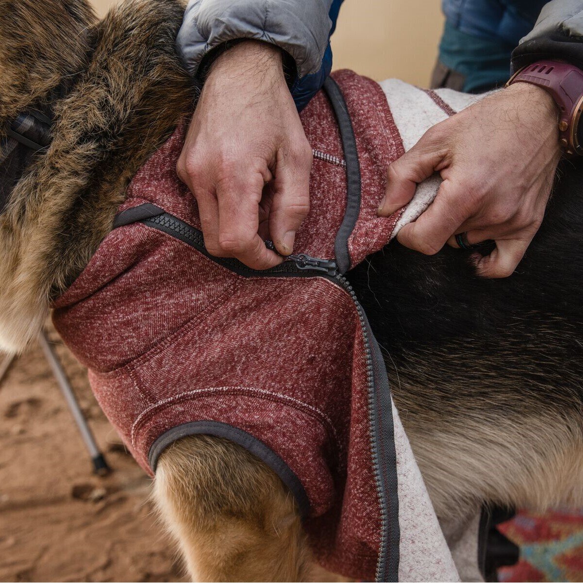 Hemp Hound Hundepullover mit Reißverschluss Bild 8