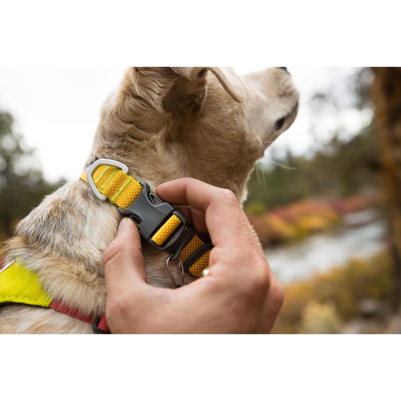 Hi & Light™ Halsband Bild 2