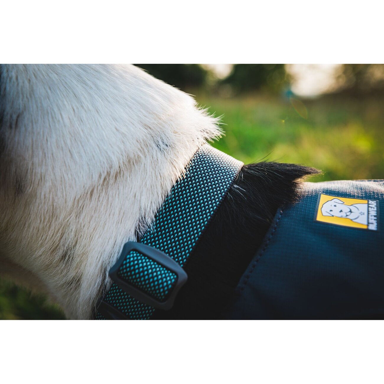 Hi & Light™ Halsband Bild 26
