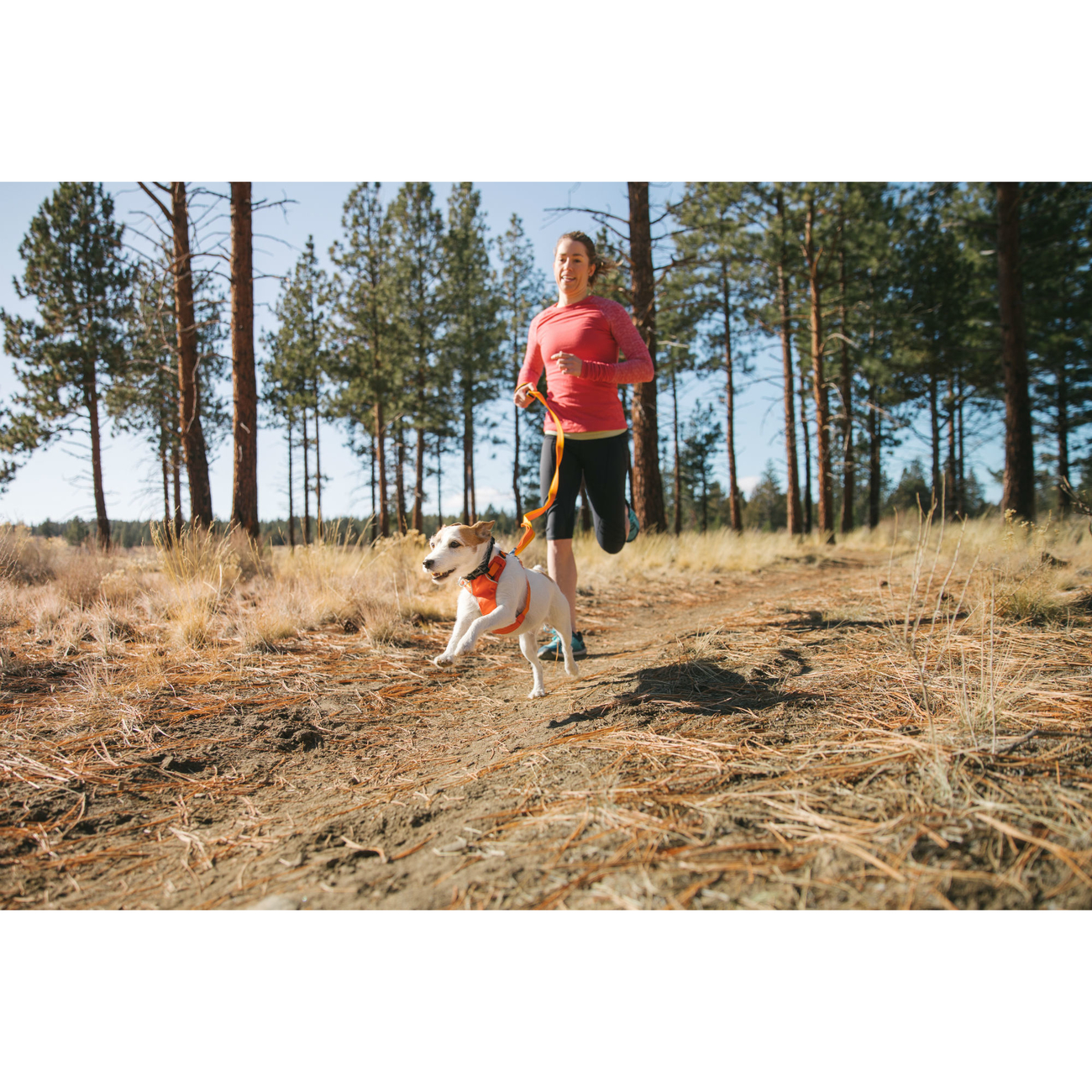 Ruffwear Hi Light Harness Hundegeschirr Bild 6