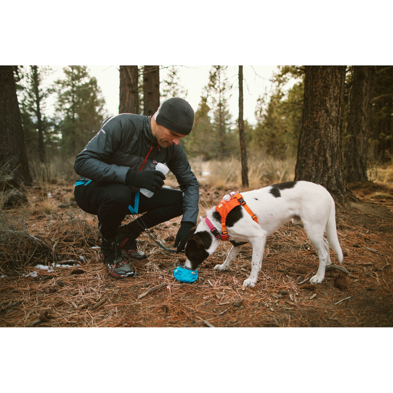 Ruffwear Hi Light Harness Hundegeschirr Bild 4