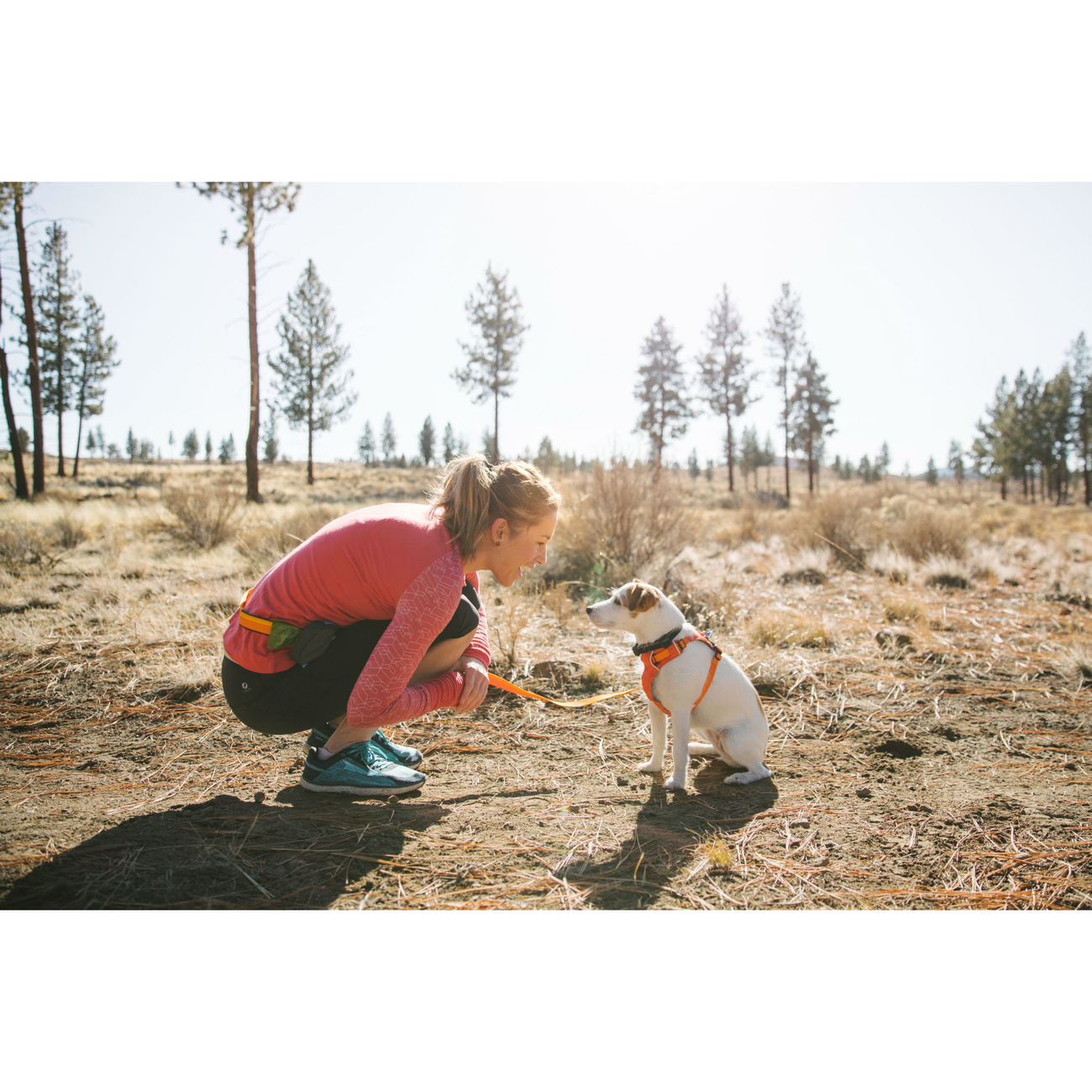 Ruffwear Hi Light Harness Hundegeschirr Bild 3