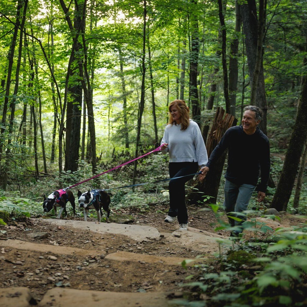 Hi & Light leichtes Hundegeschirr Bild 2