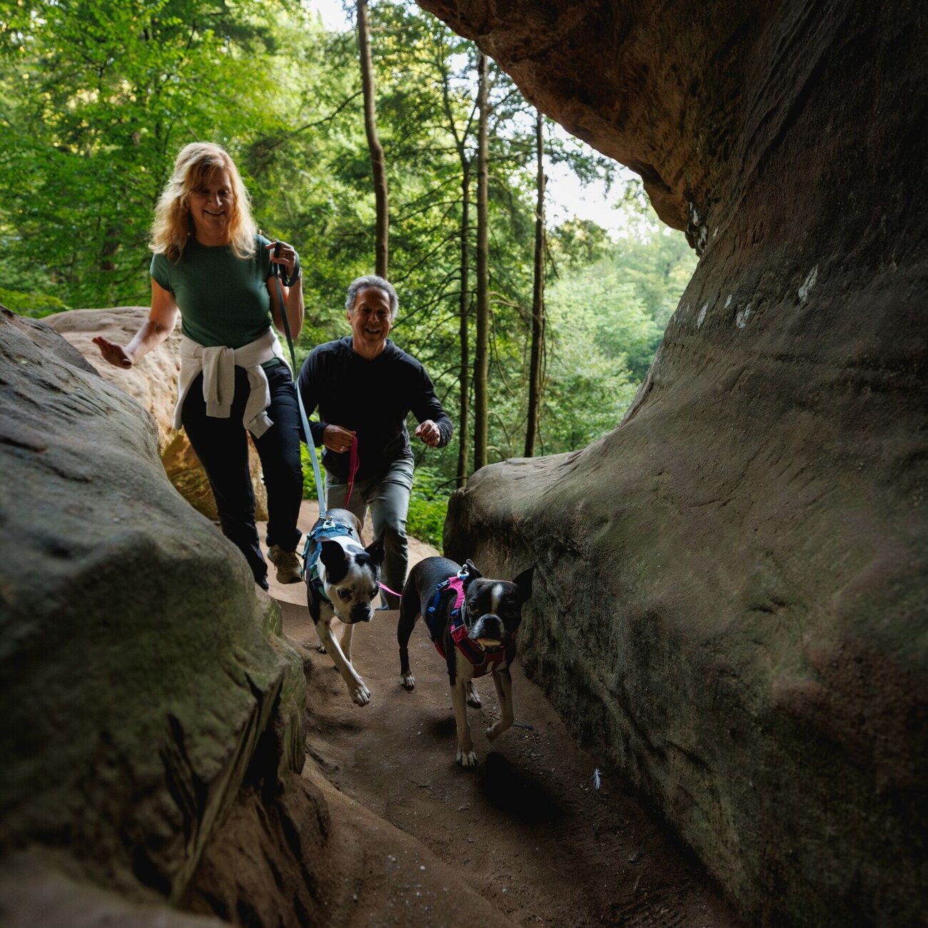 Hi & Light leichtes Hundegeschirr Bild 35